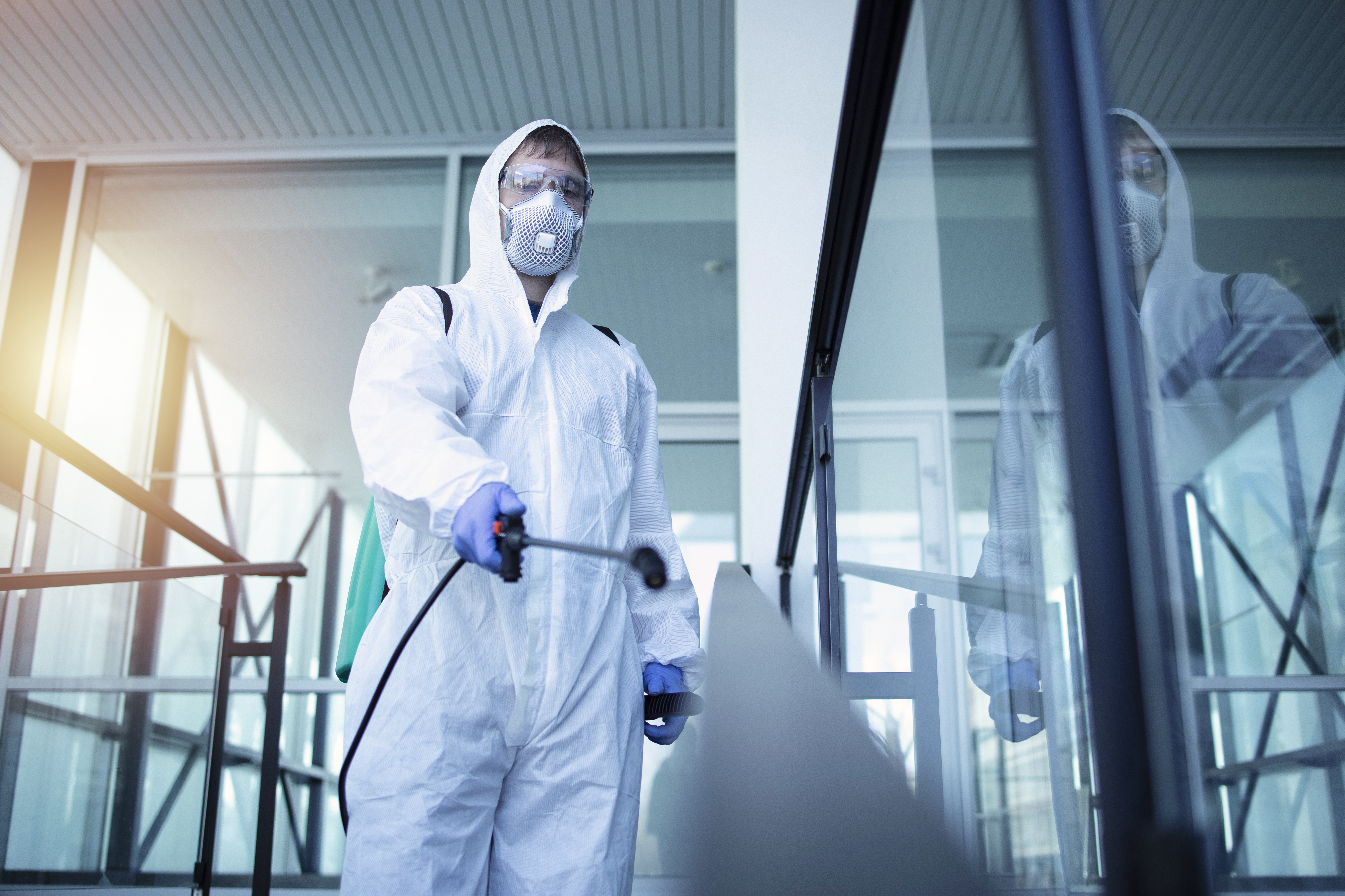 Pest Control Tips
