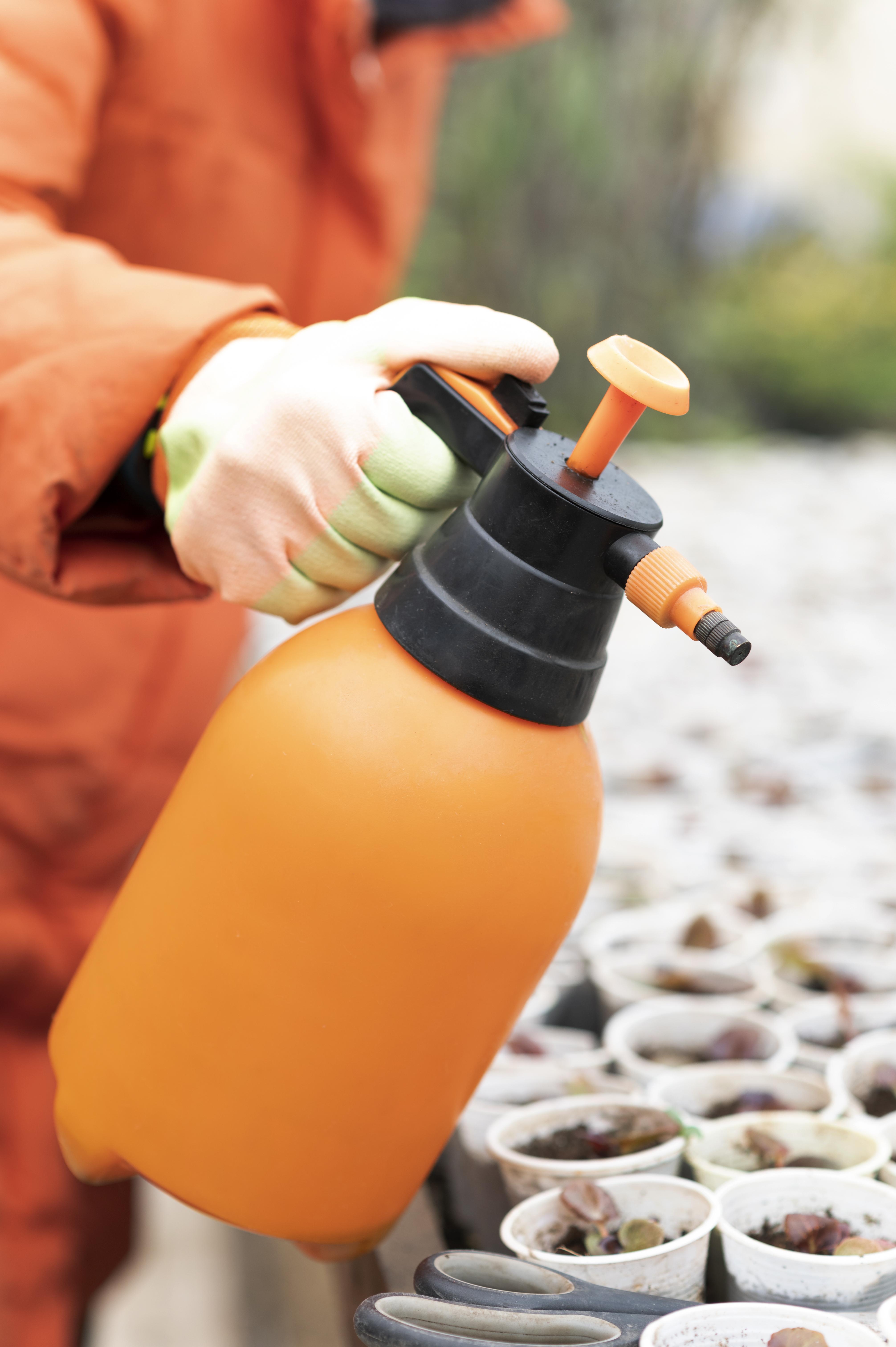 Insecticide Spray